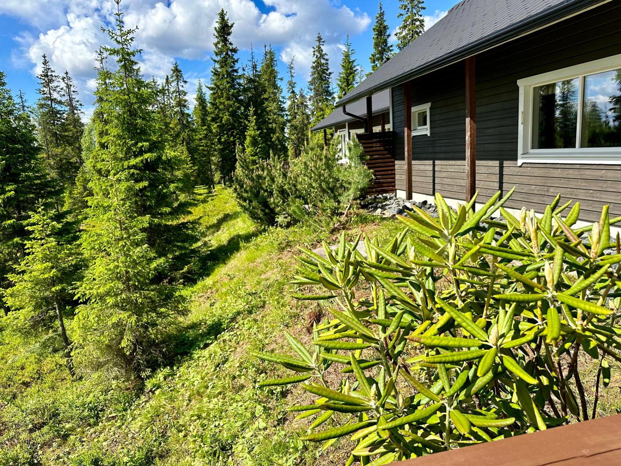 Hietavilla Aurora Ruka Ngoại thất bức ảnh